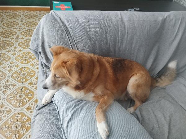 Ciao sono Bigola Foto 2